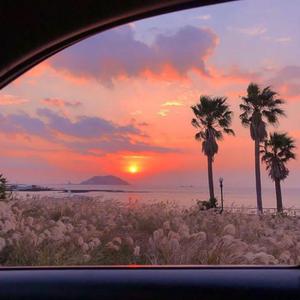 扒开她粉嫩的小缝尿进去微博
